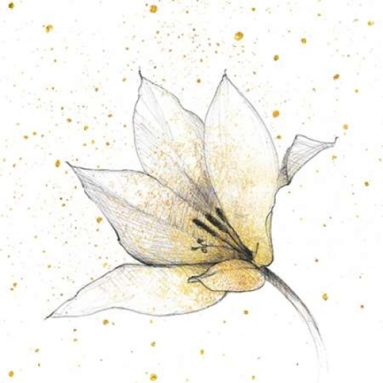 Gilded Graphite Floral IX Poster Print by Avery Tillmon - Item # VARPDX20095